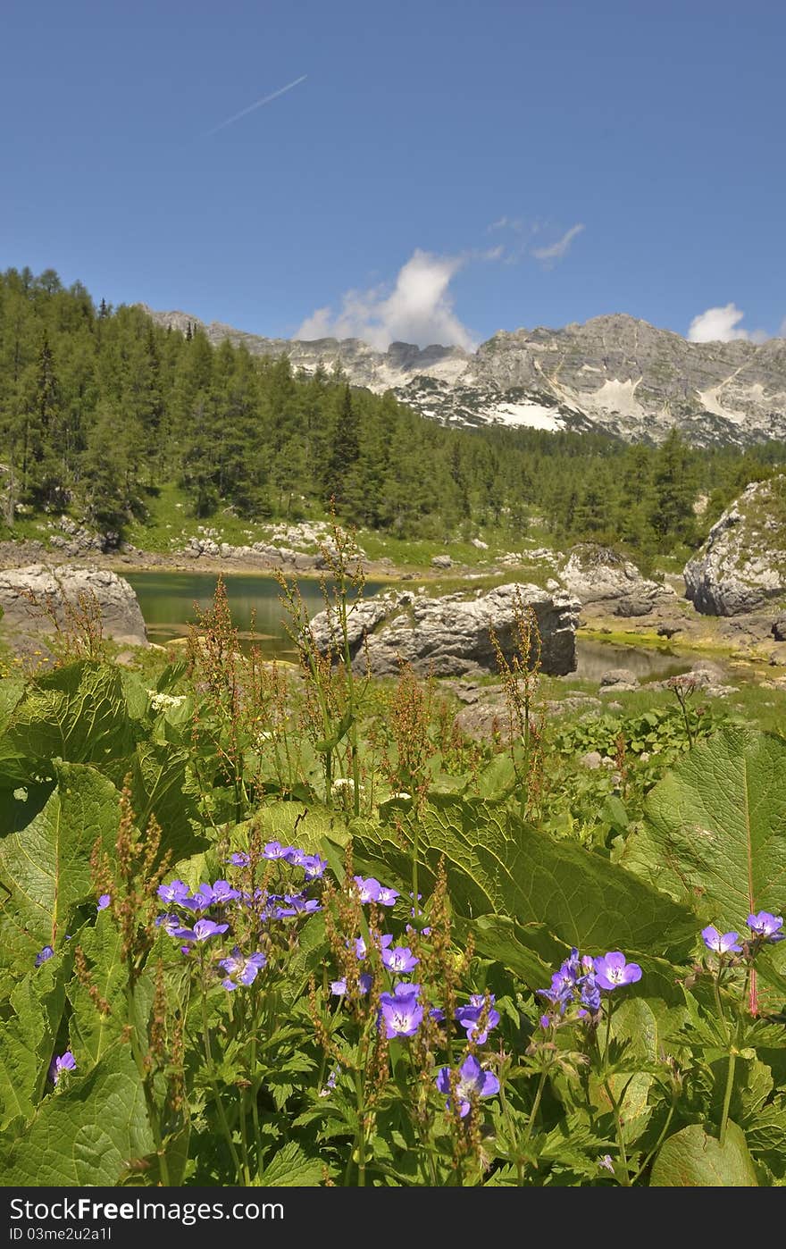 Julian Alps