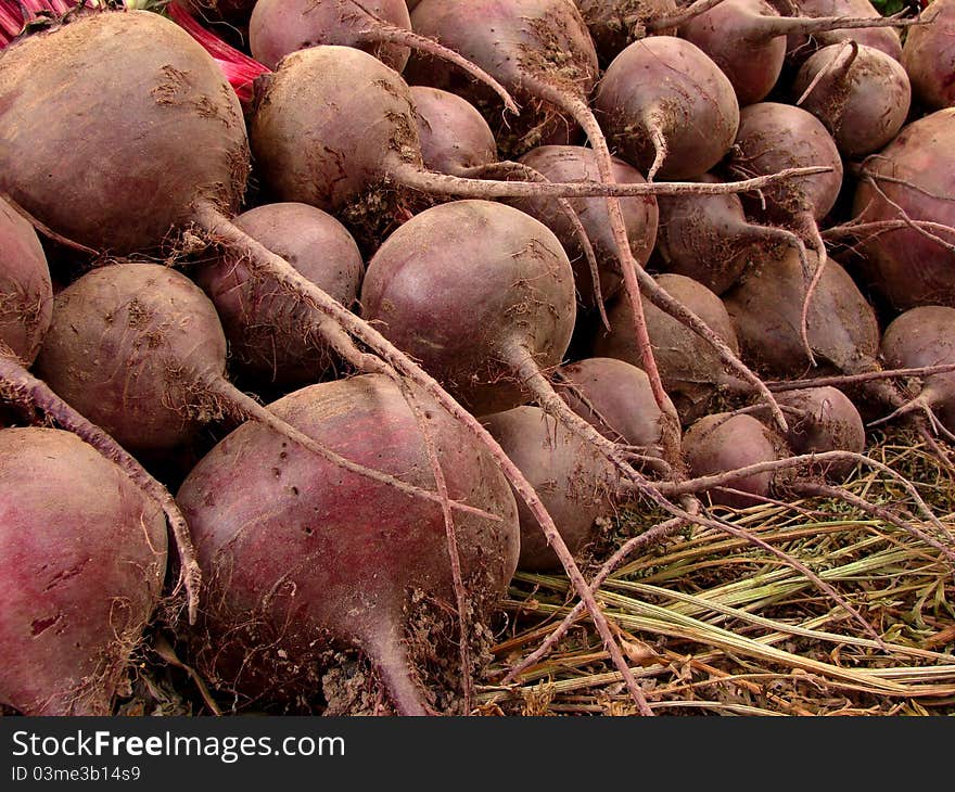 Amount of beetroots lying one on another. Amount of beetroots lying one on another