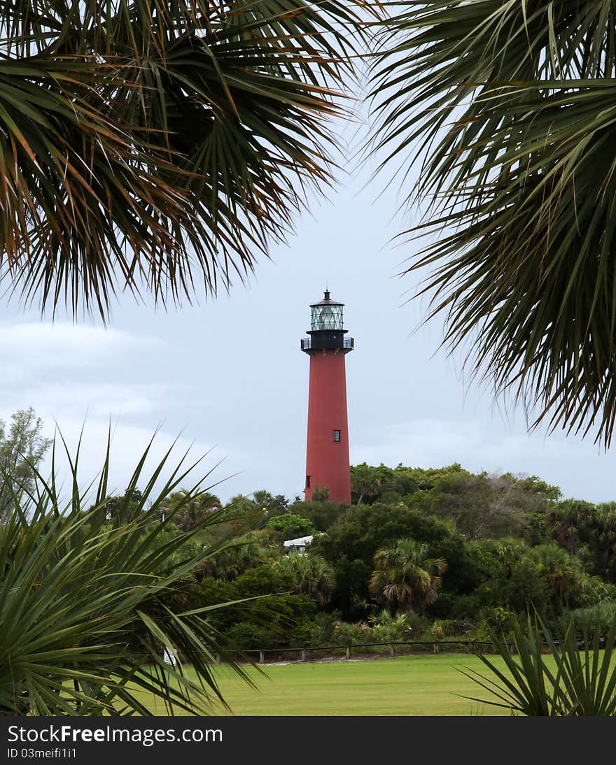 Light house framed by different kinds of palm trees. Light house framed by different kinds of palm trees