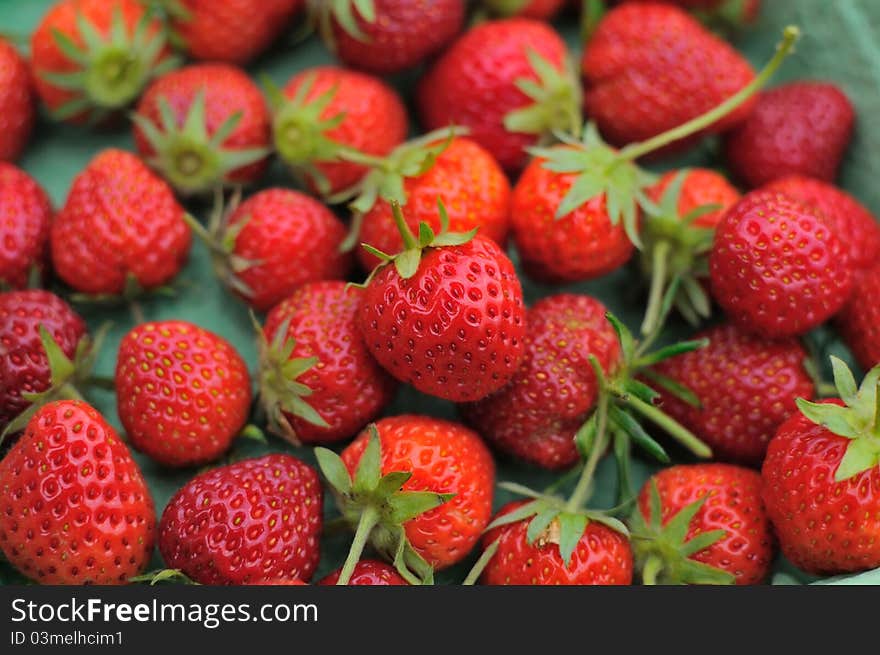 Freshly Picked Strawberries