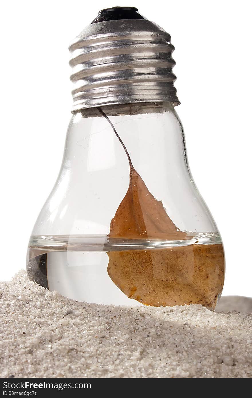 Dry brown leaf in a light bulb on sand. Dry brown leaf in a light bulb on sand.