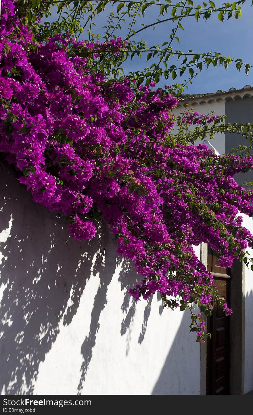 Blooming narrow historic streets of Obidos, Portugal. Blooming narrow historic streets of Obidos, Portugal