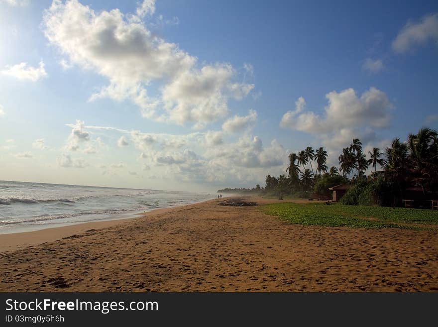 Windy Morning On The Beach