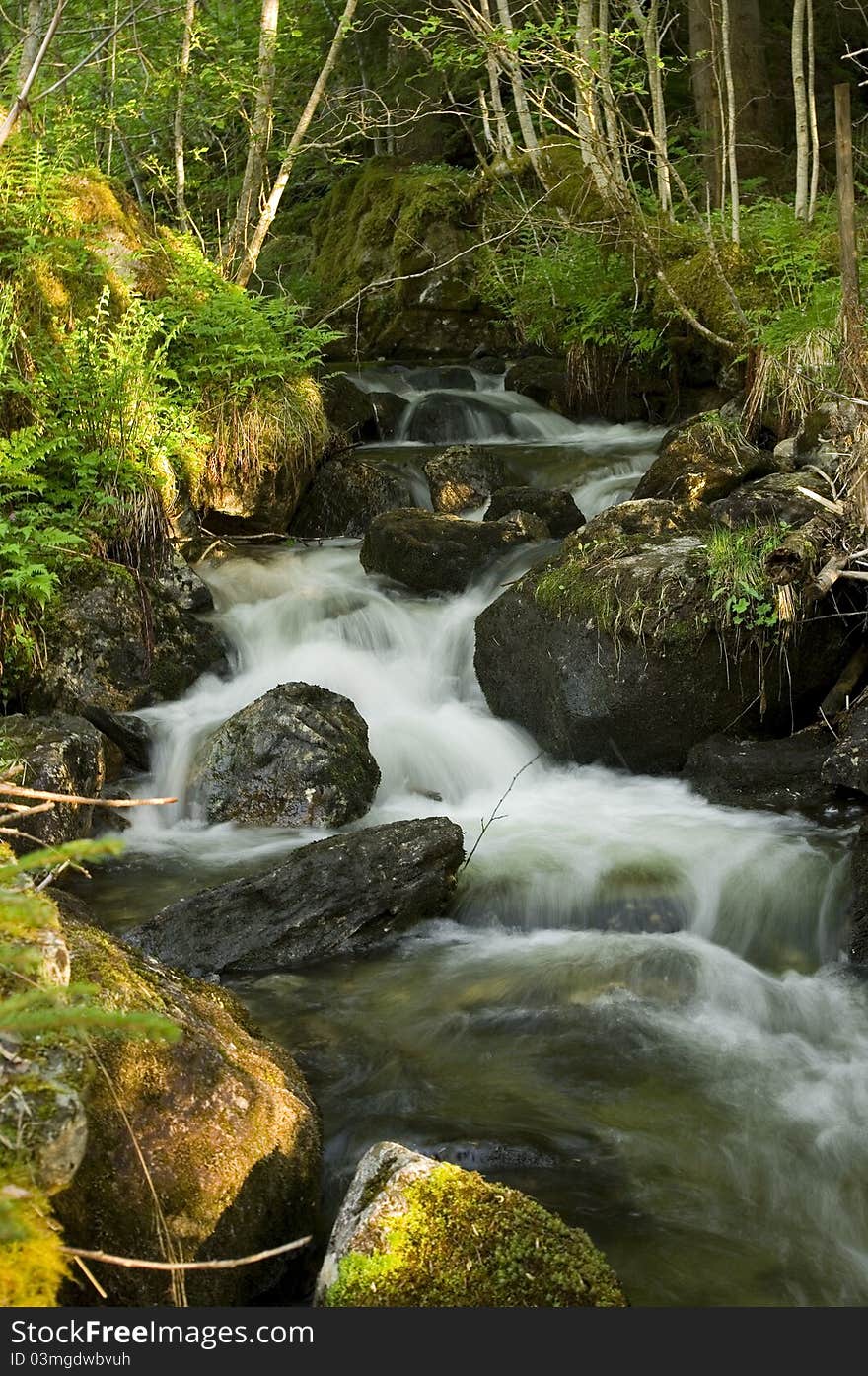 Small waterfall in summer forest. Small waterfall in summer forest