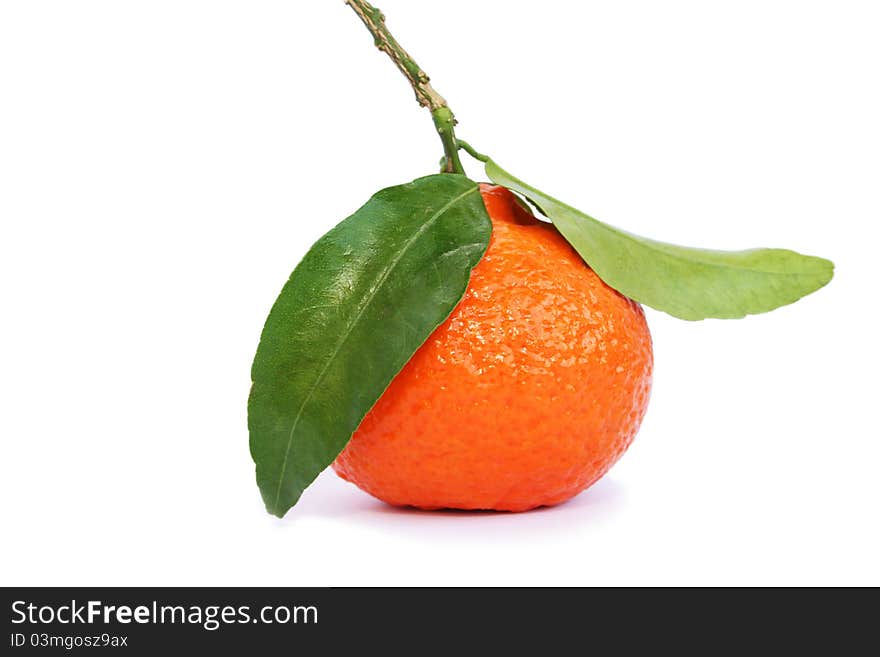 Ripe tangerine on white background.