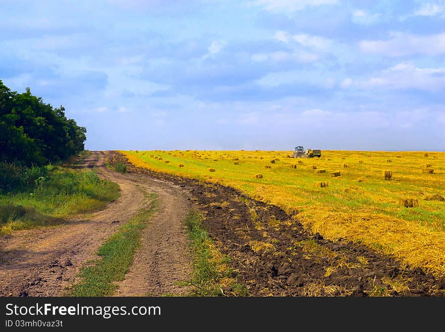 Rural road at harvest