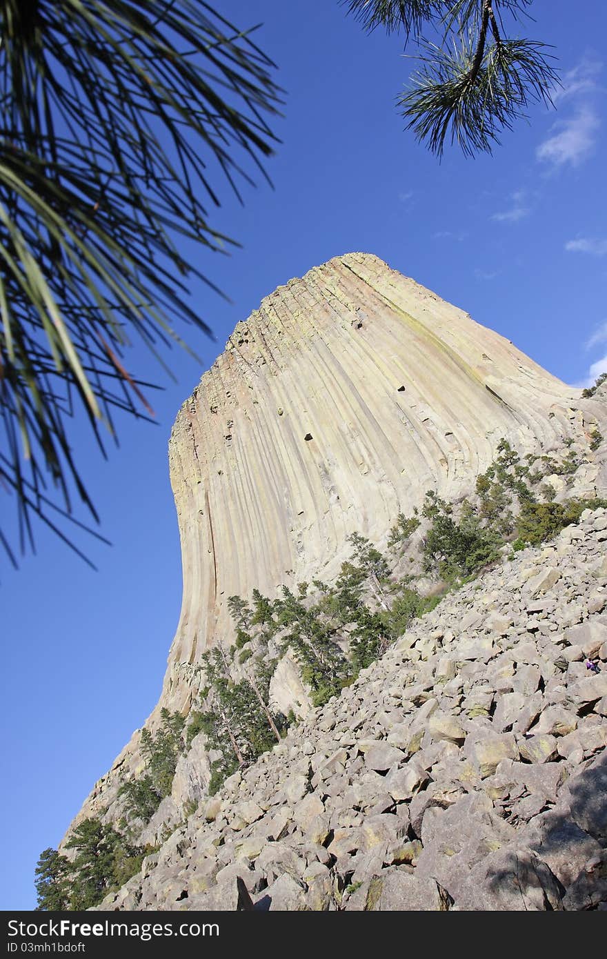 Devils Tower National Monument in Wyoming tilted view