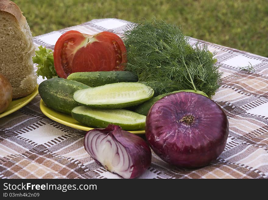 Summer dinner on table in garden