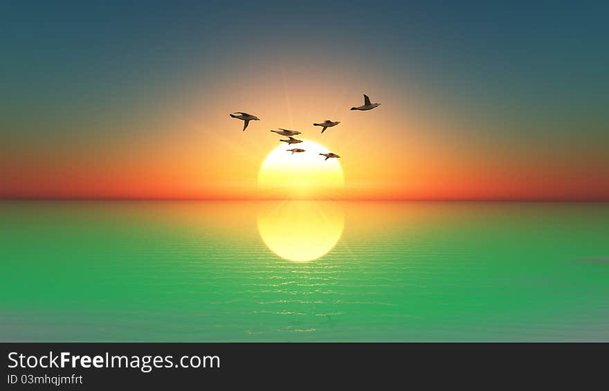 The horizon and wild birds