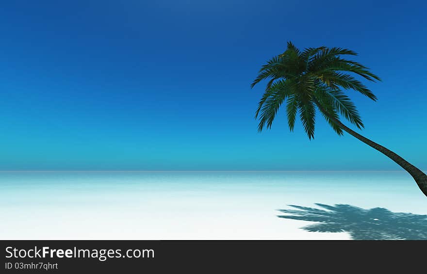 The horizon and palm tree. The horizon and palm tree