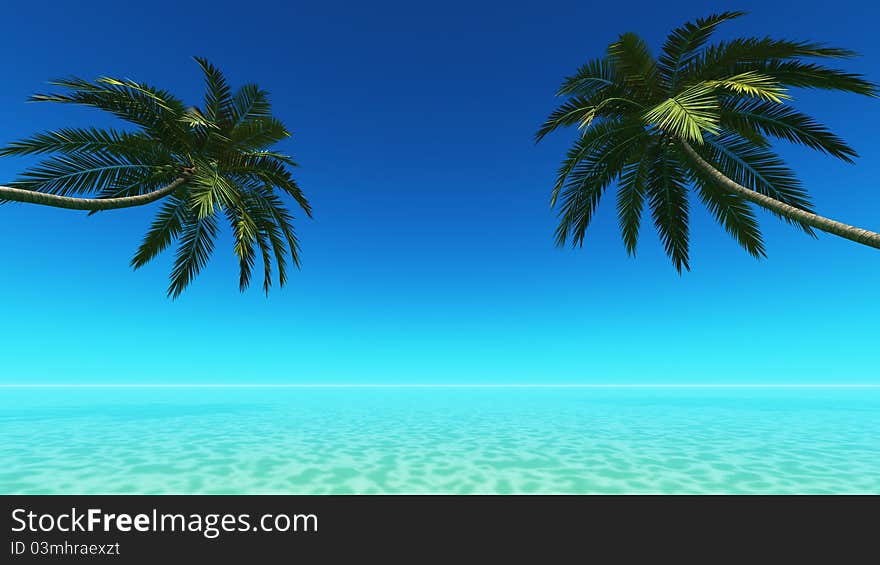 The horizon and palm tree. The horizon and palm tree