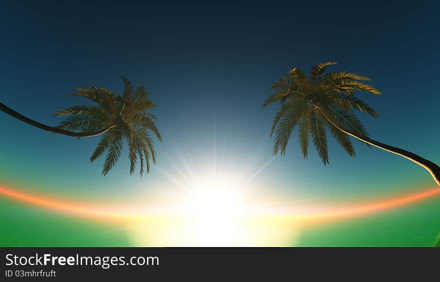 The horizon and palm tree. The horizon and palm tree