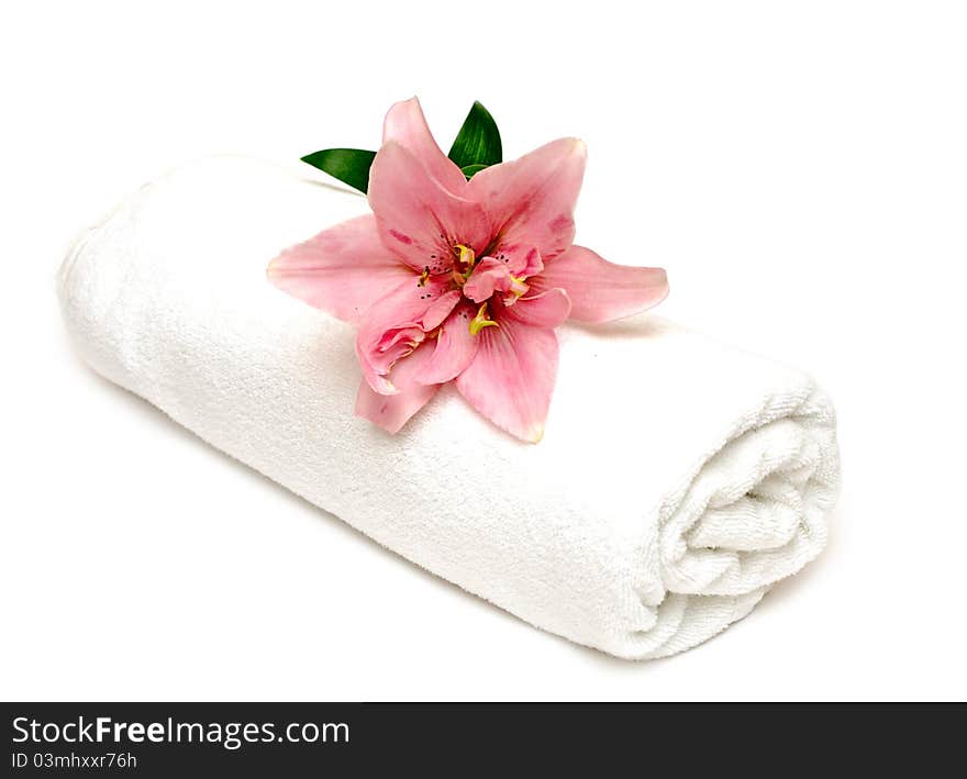 Lily and towel