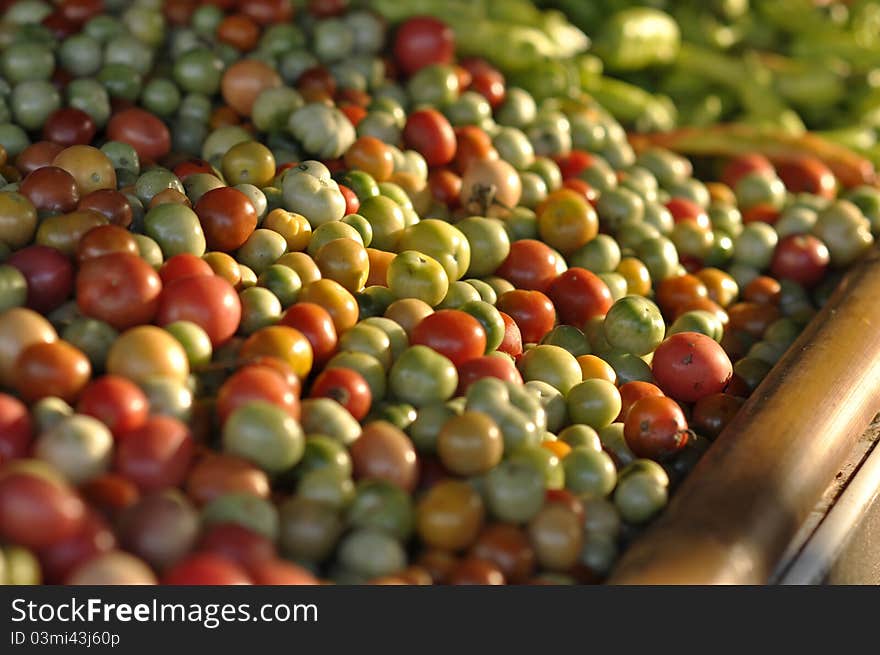 Many Tomato Various Market Background