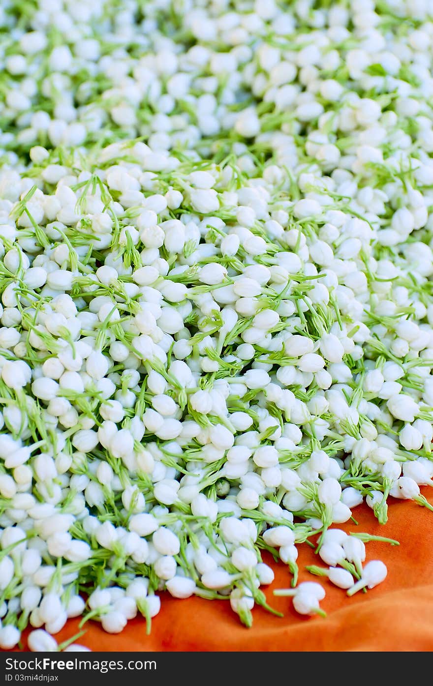 Many Fresh jasmine flowers on the floor