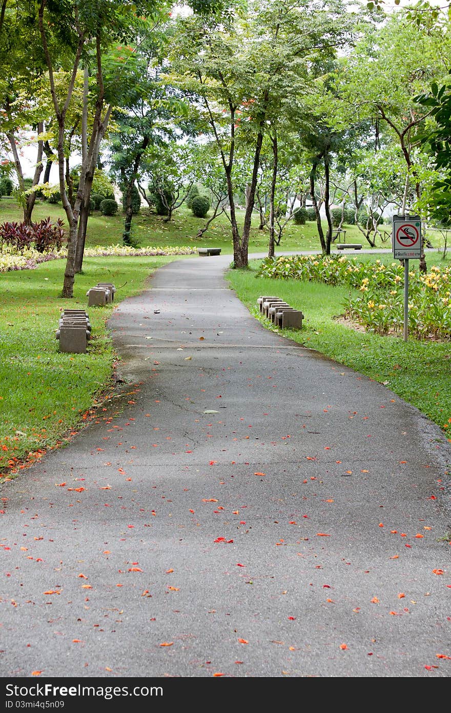 Walking through the grass in the parks. Walking through the grass in the parks.