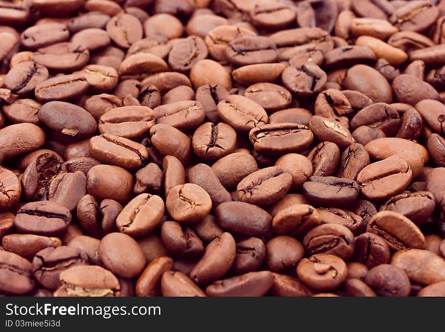 Coffee background - macro of seeds