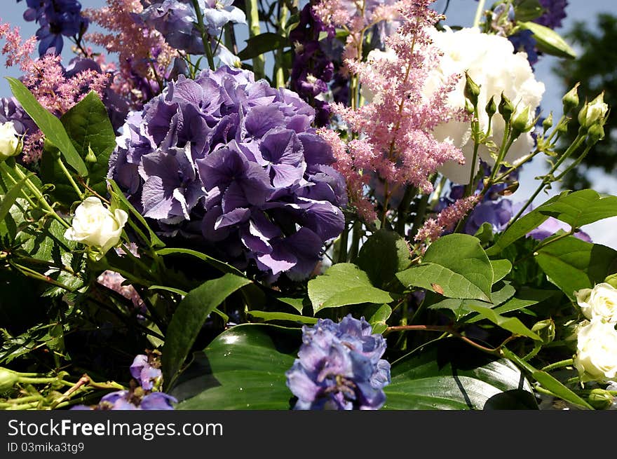 Nice Flowers In Summer Day