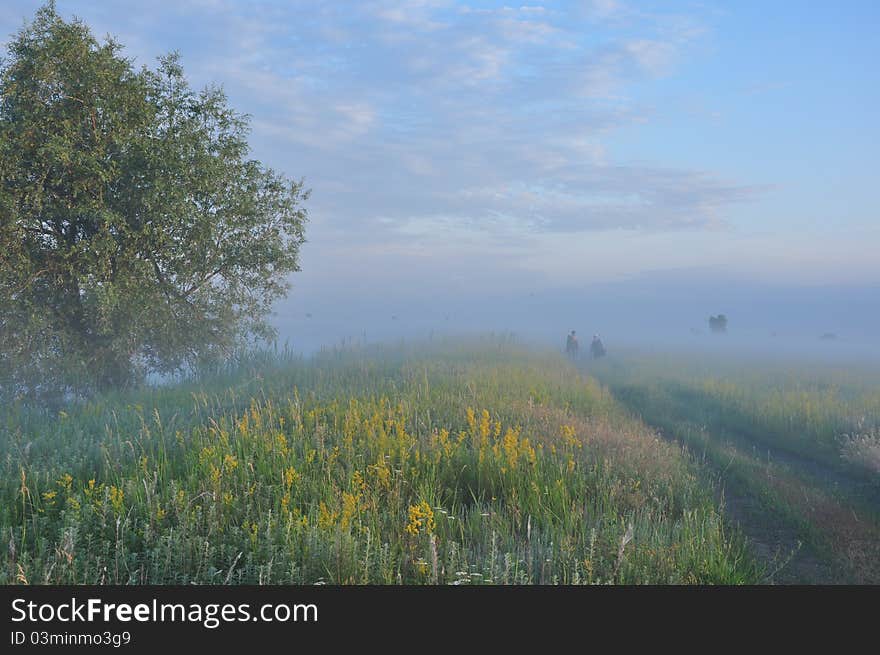 Two men are going to fish early froggy morning