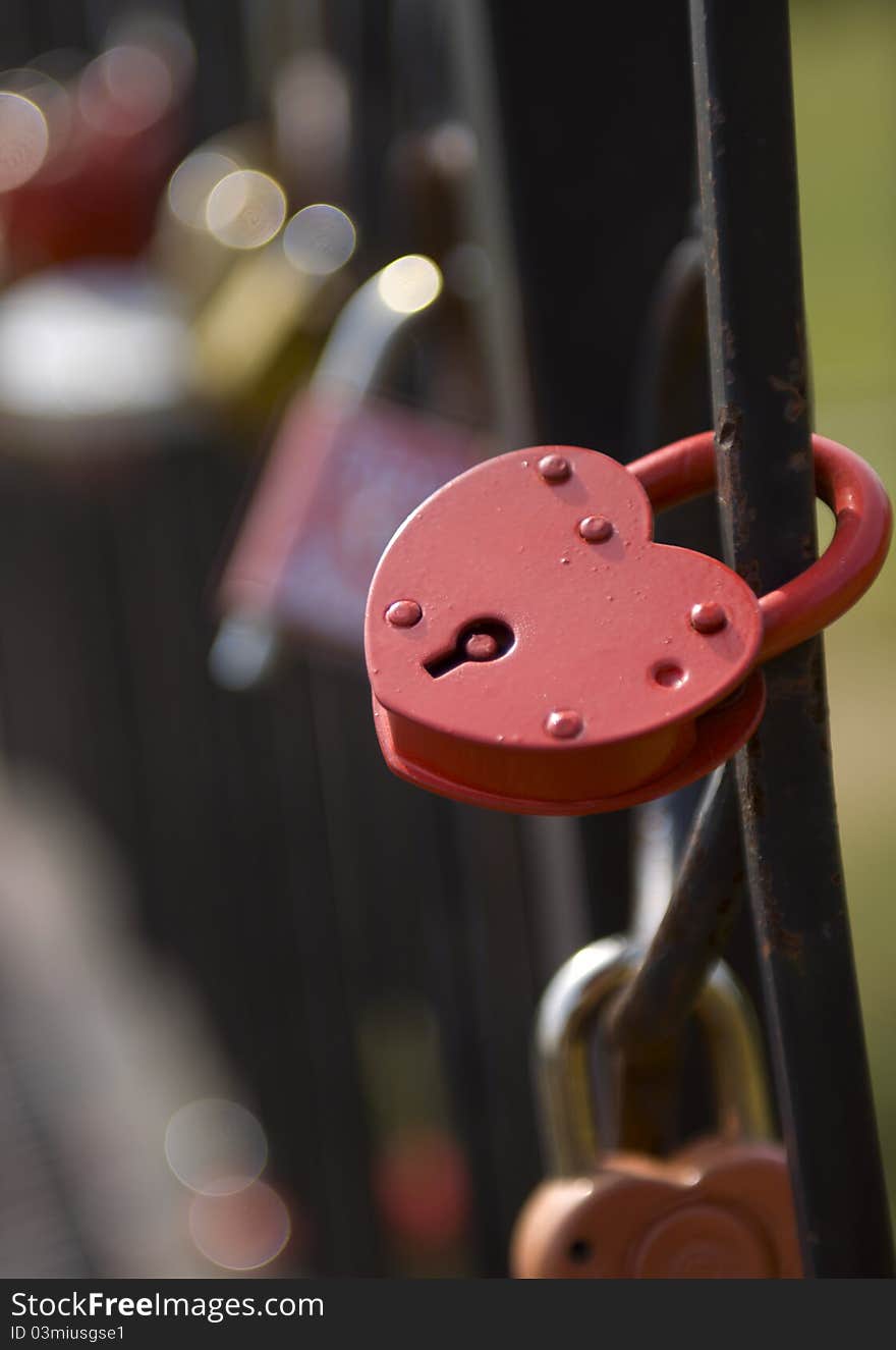 Locks of love on the bridge. Locks of love on the bridge