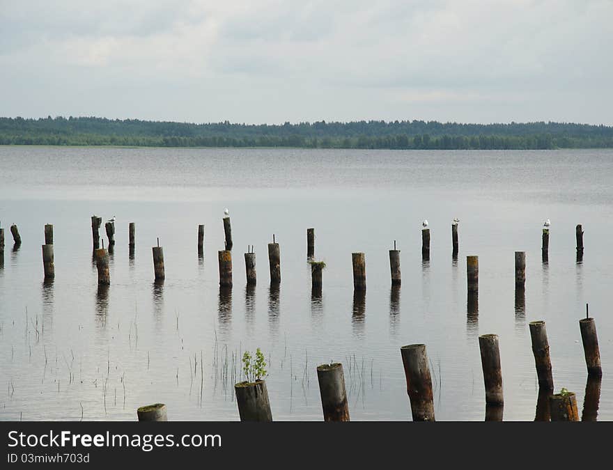 Hepoyarvy lake in the Leningradskaya oblast