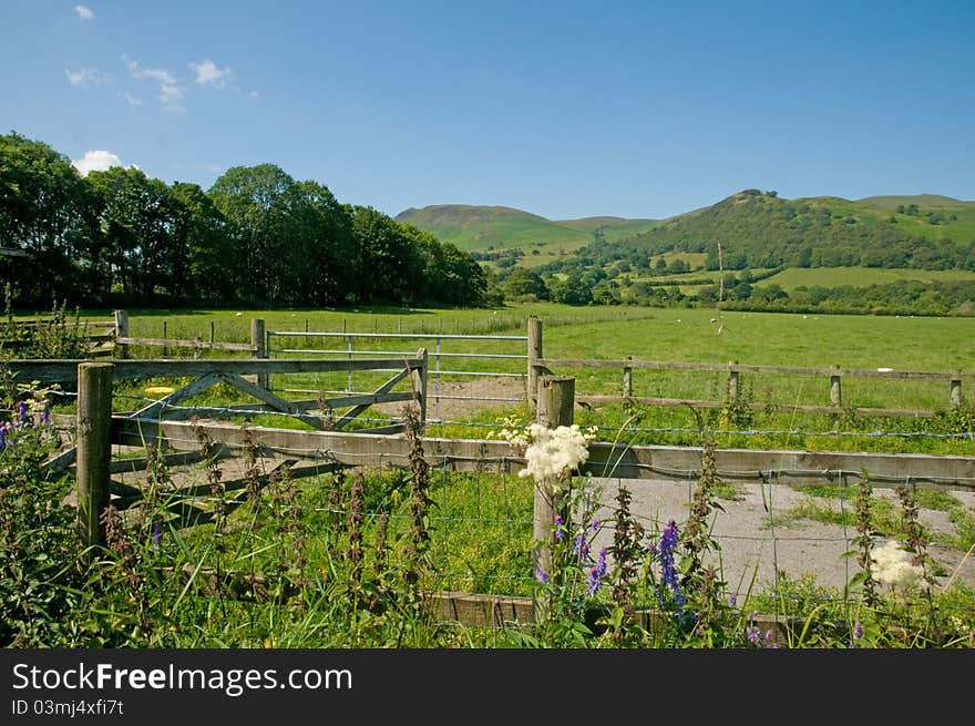 Farmland near crammock