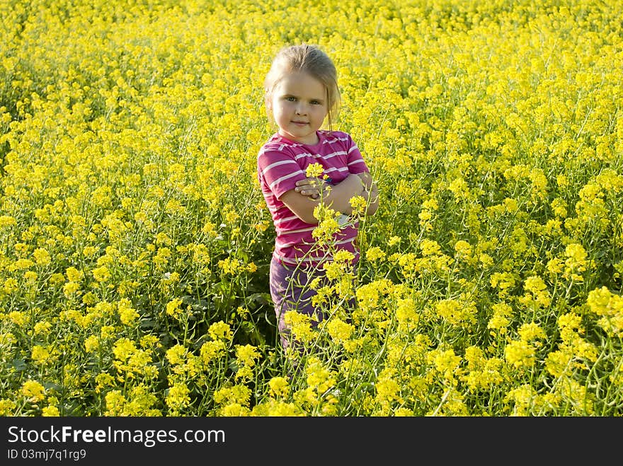 The girl on a meadow