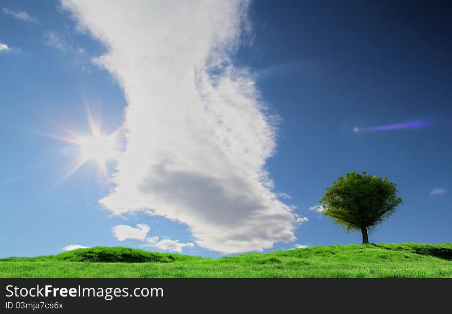 Field and Sky