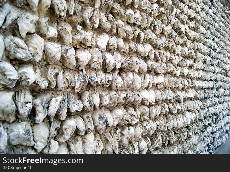 Oysters in the shell wall. Oyster shells assemble the wall, white, became a landscape. Gave rise to another kind of visual enjoyment. Oysters in the shell wall. Oyster shells assemble the wall, white, became a landscape. Gave rise to another kind of visual enjoyment.