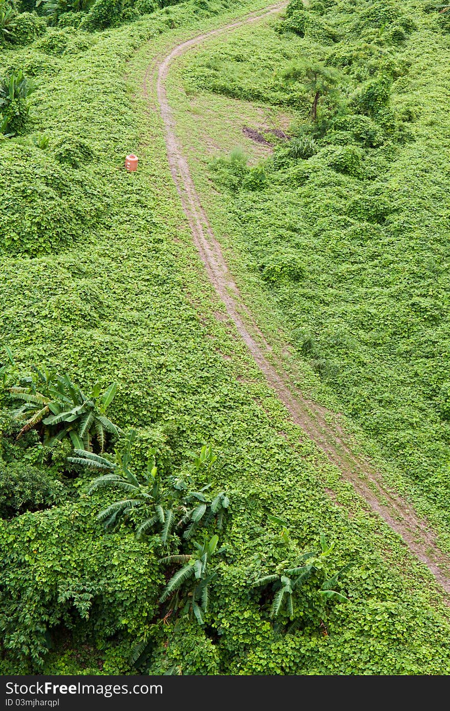 Your way by green grass road.