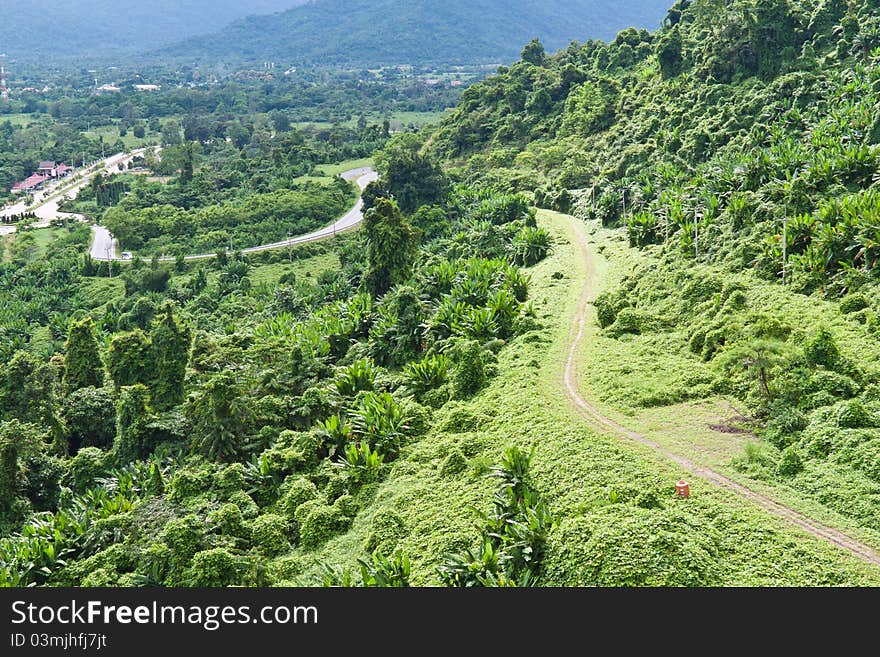 Green Grass Road