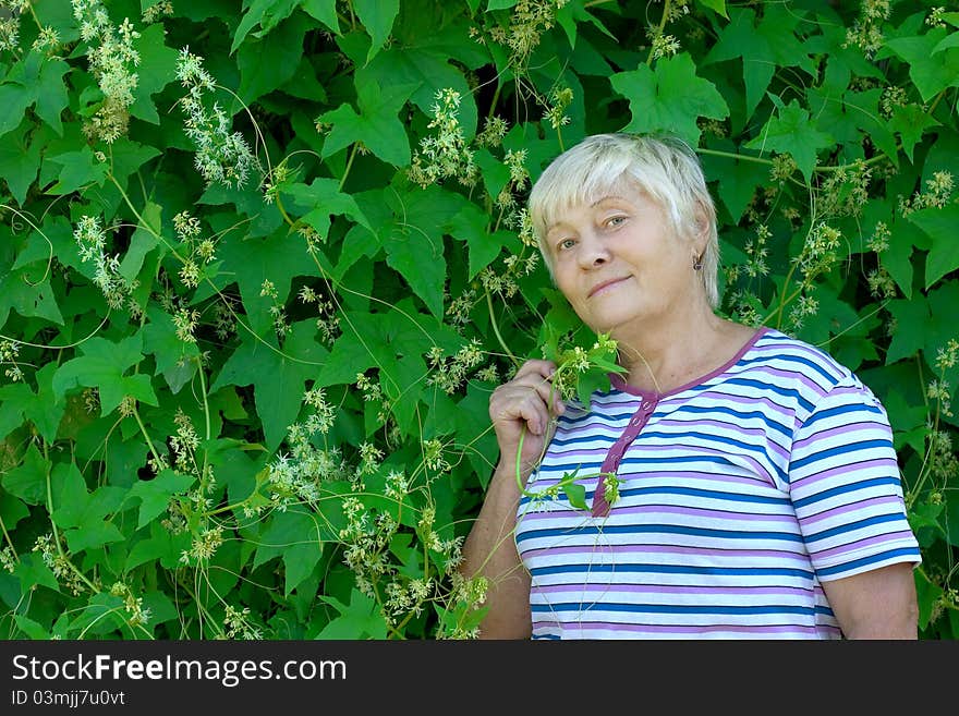 Elderly woman and green bindweed