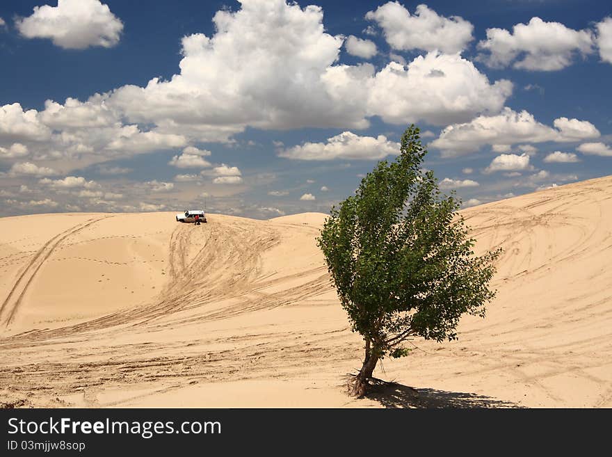 A jeep is driving in desert. A jeep is driving in desert