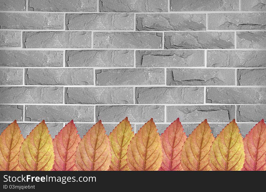 Colorful leaves on grey brick wall