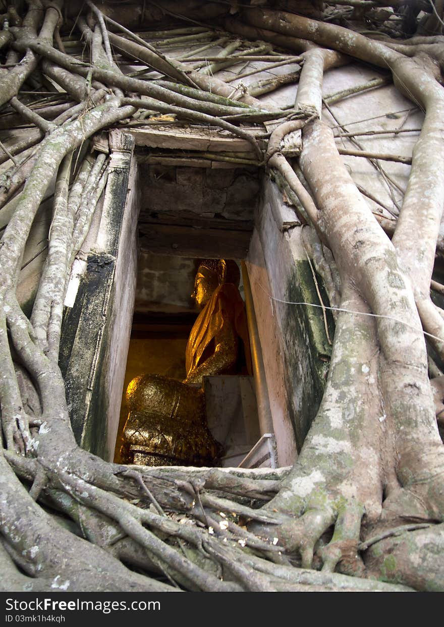 Ancient Temple Ruin With Golden Buddha