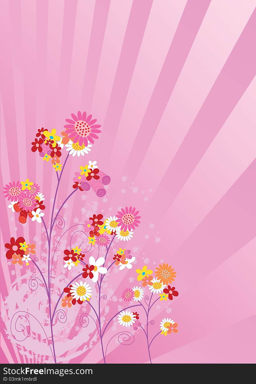 Rose flower background