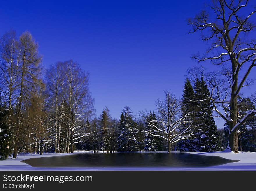 Winter landscape of forest with snow melting