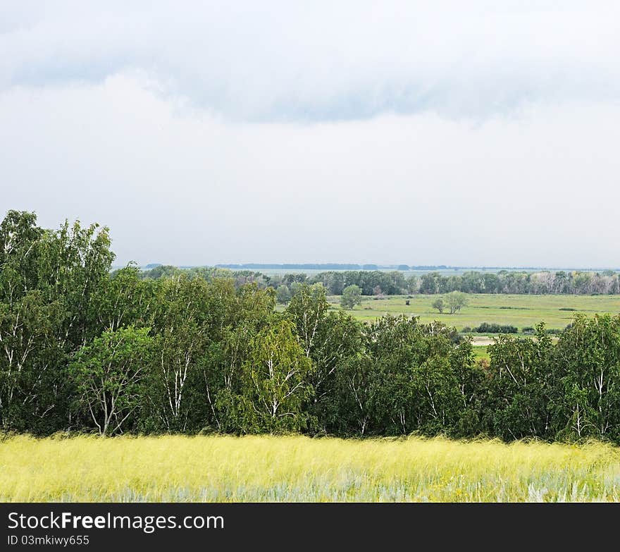 Summer Landscape