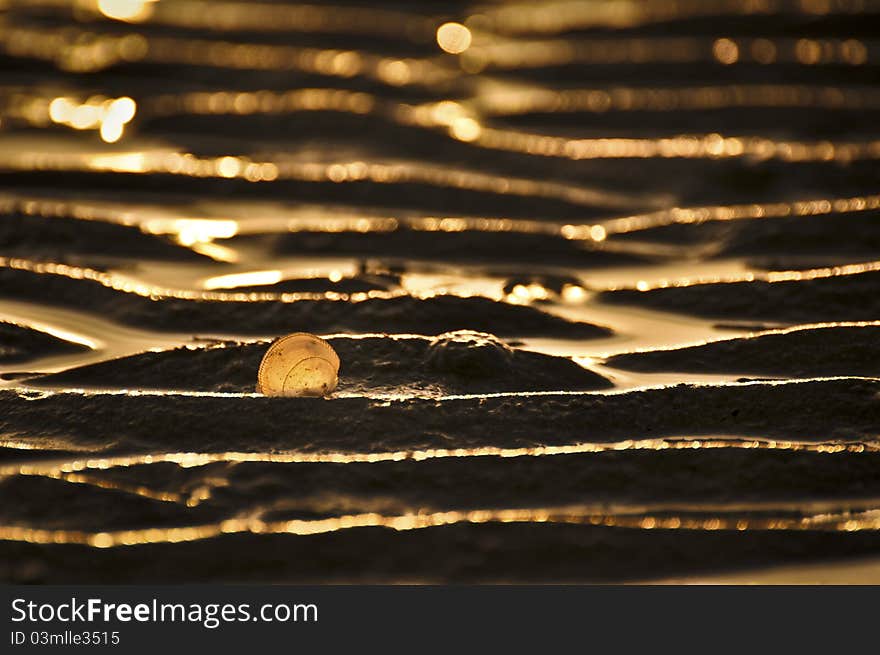 Reflection and wave of sand