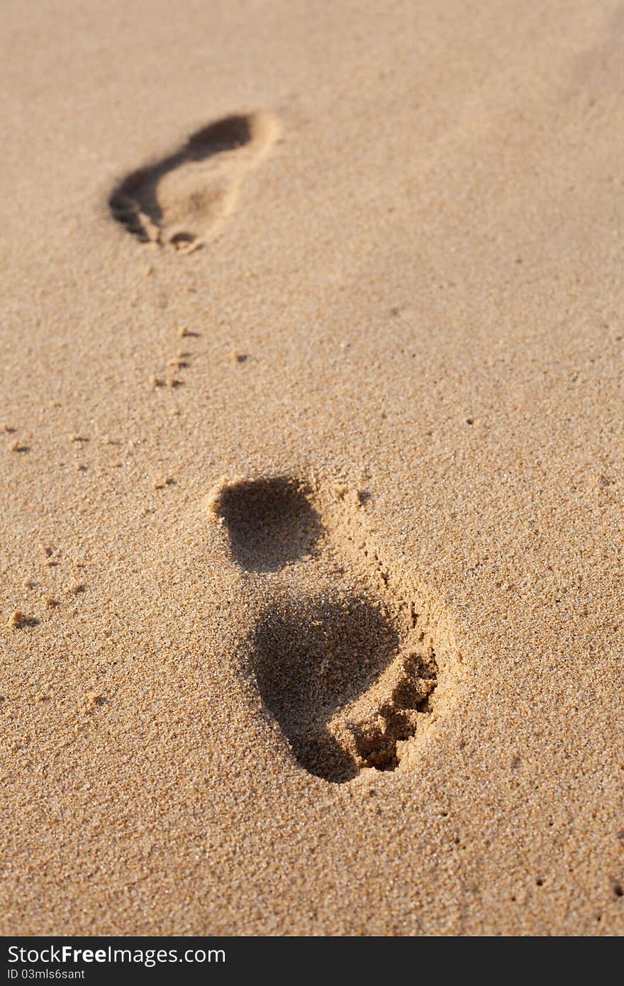 Footprints On The Beach Sand