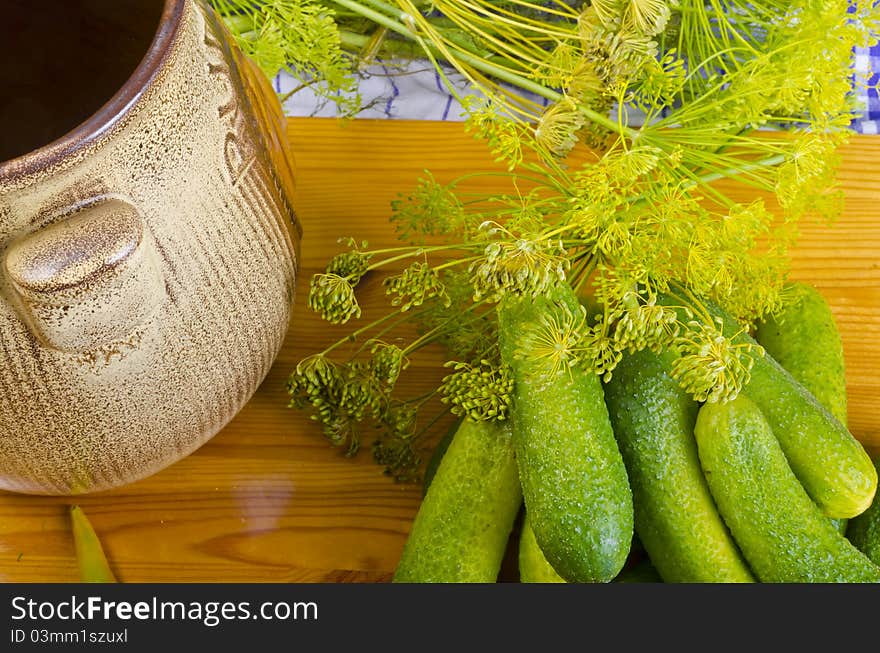 Polish Garlic Cucumbers (ingredients)