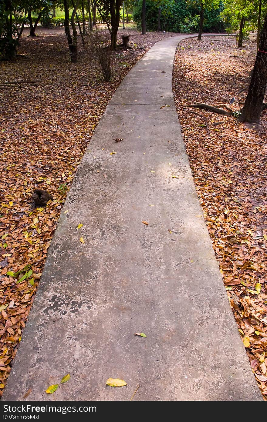 Concrete footpath with fallen leaves