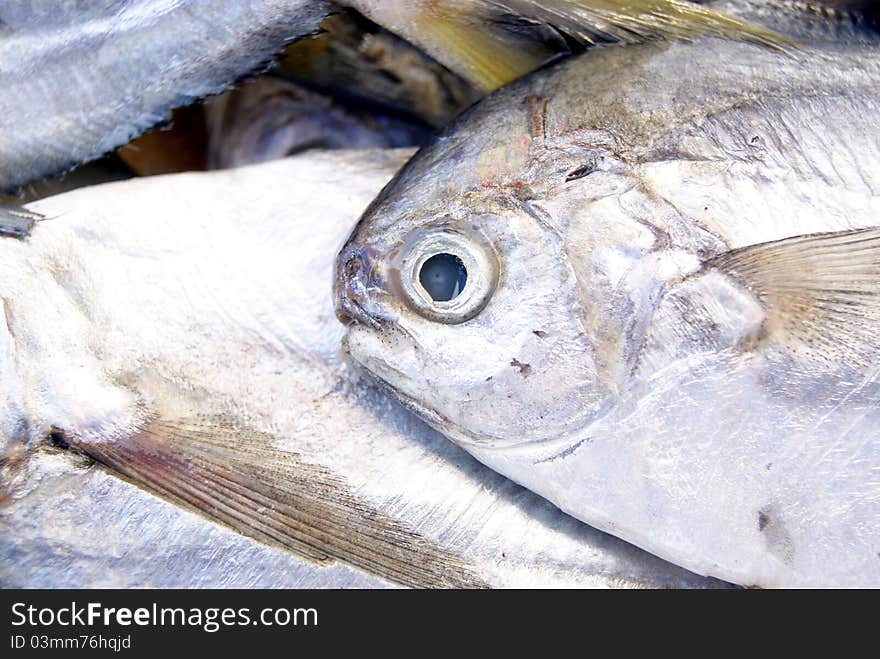 Fish and seafood market in, waiting for people to buy.