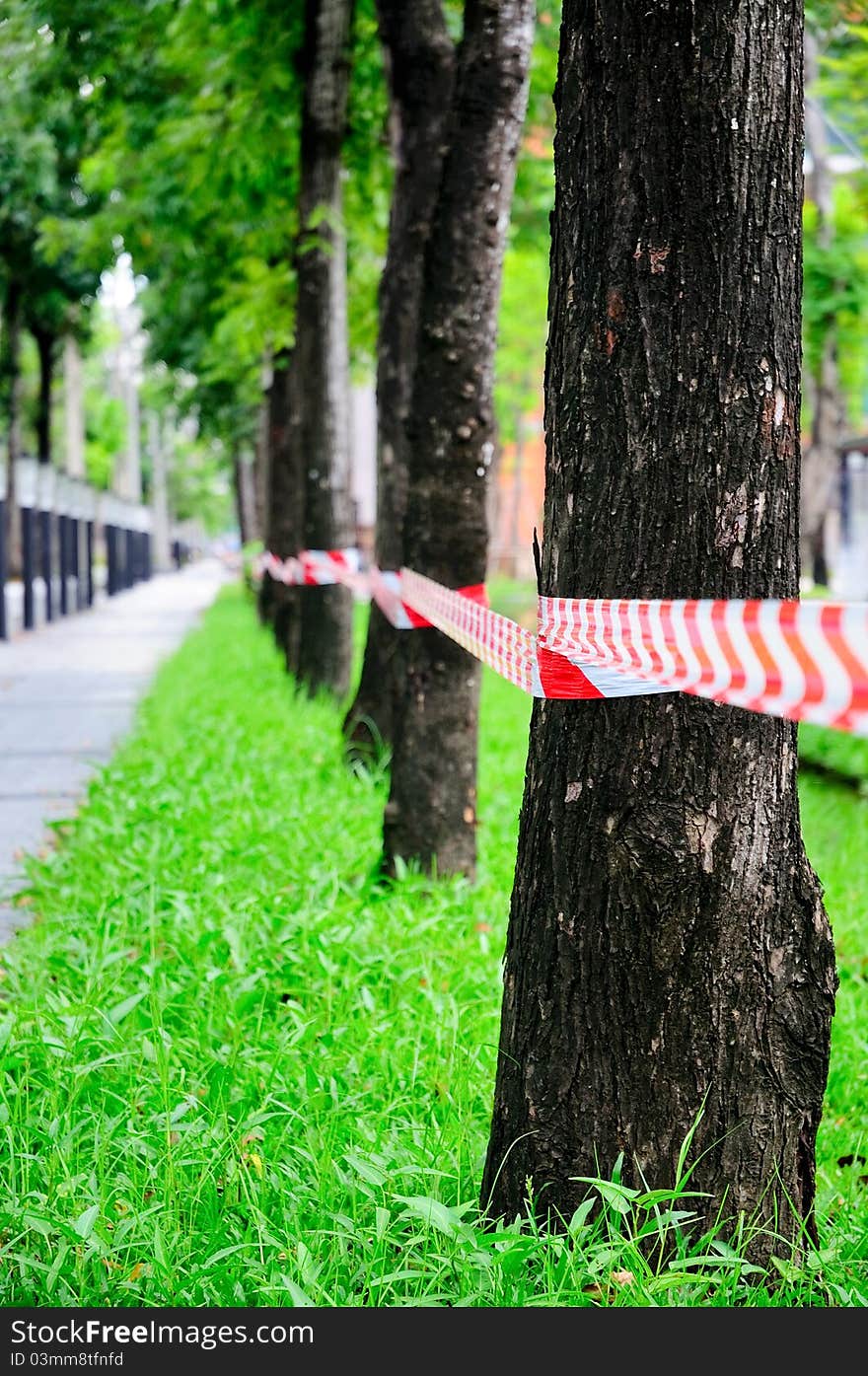 Red-white strip on a tree row, No entry through the tree row