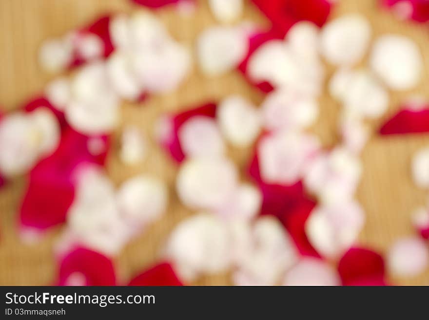 Beautiful red rose petals scattered and on a wooden surface. Blurred