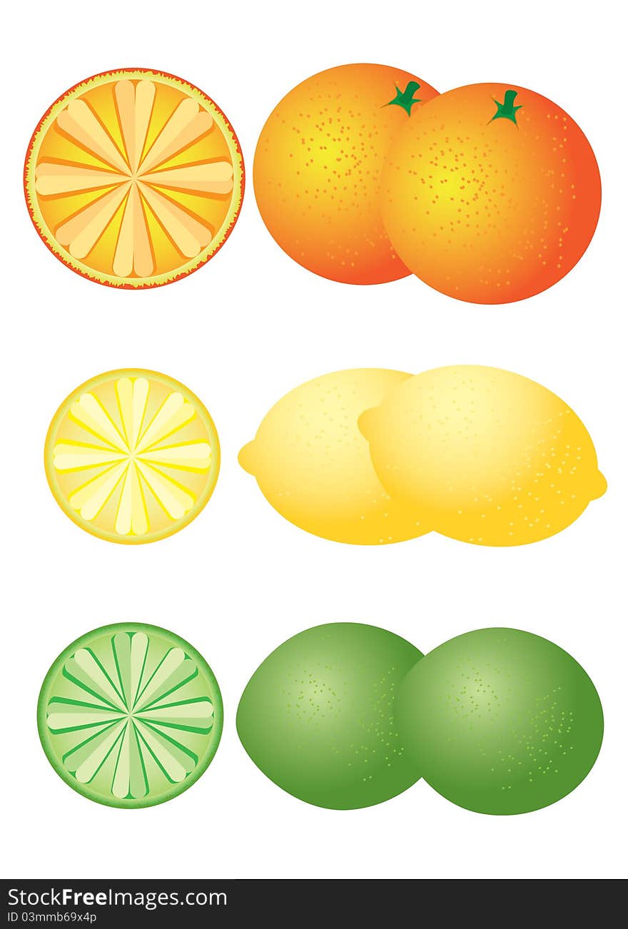 Set of citrus fruits on the white background. Orange, lemon, lime.