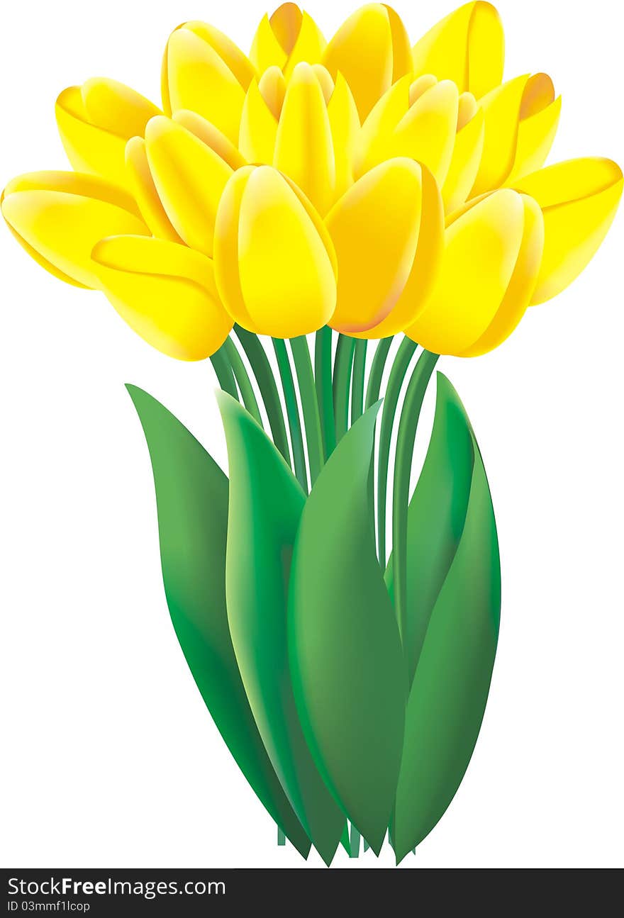 A bunch of lovely bright yellow spring tulips. A bunch of lovely bright yellow spring tulips