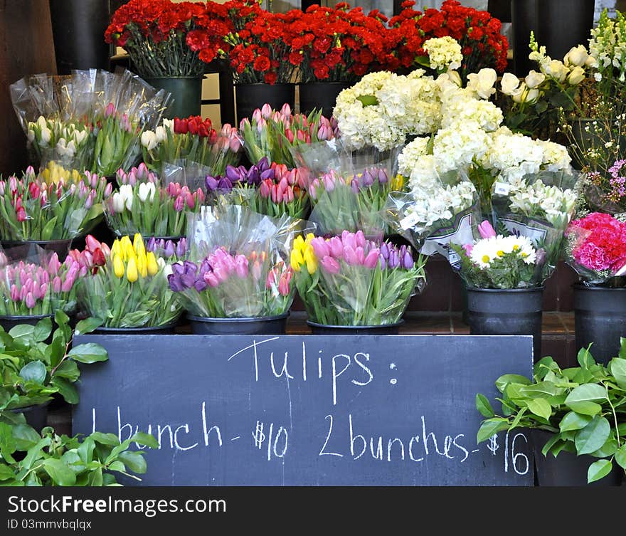 A tulip stand found in Philadelphia, PA.