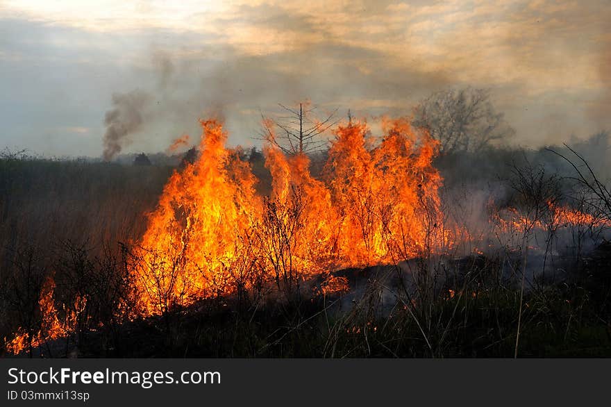 Kansas Prairie Fire