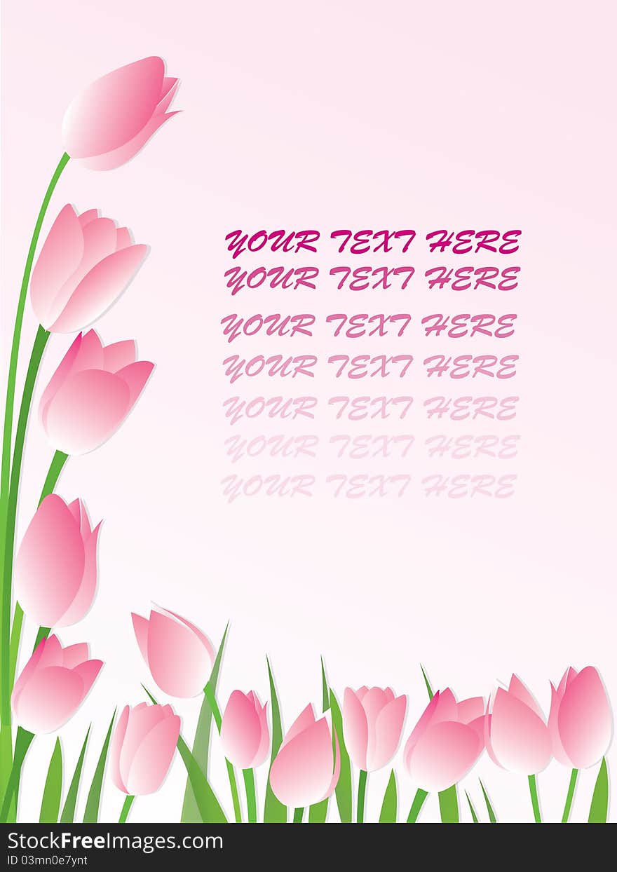 Vector of pink tulip flower background. Vector of pink tulip flower background